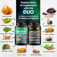 Lumera Vitality Duo  Sea Moss + Shilajit Daily Support Bundle